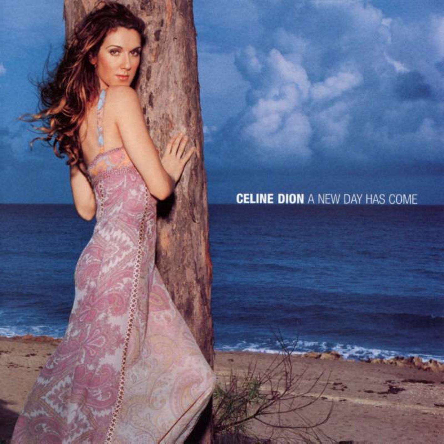 Celine Dion - A New Day Has Come2002 - DTSWAV