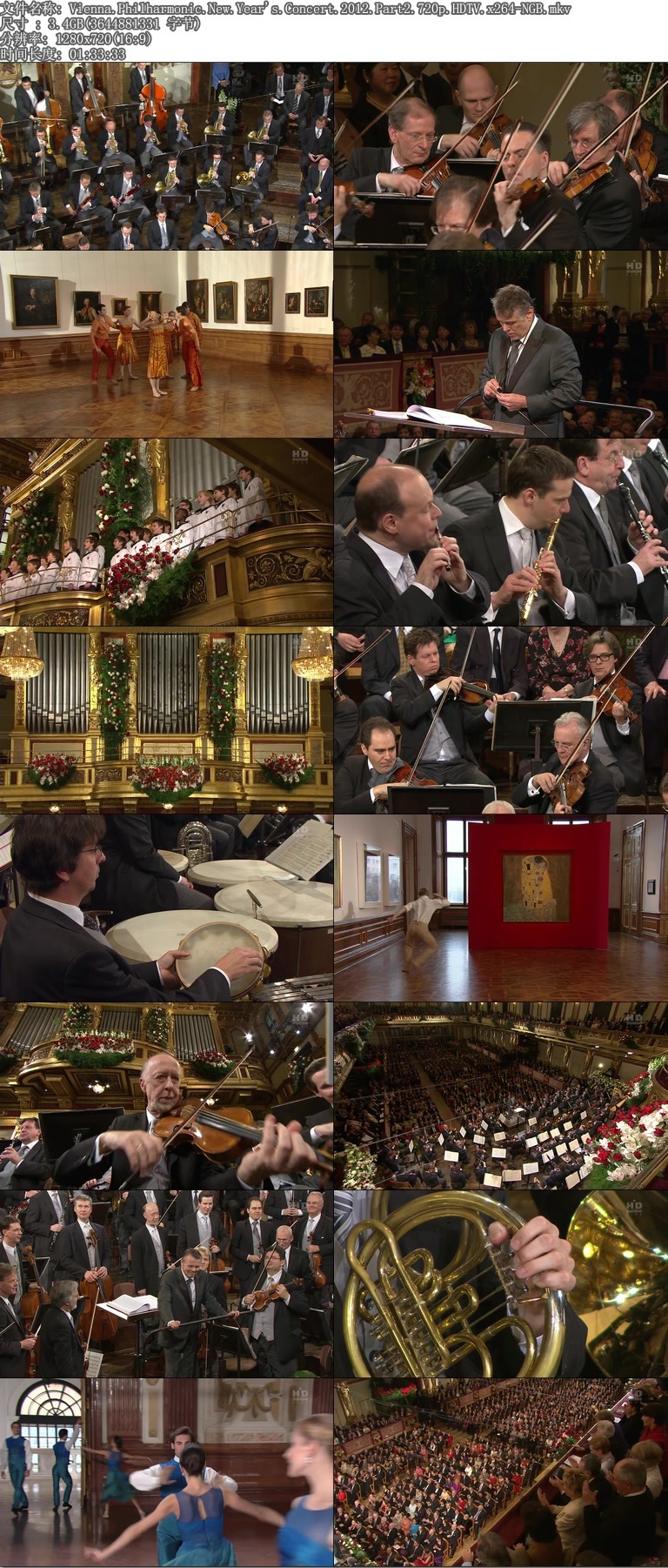 2012άҲֻ (720P)(Vienna Philharmonic New Years Concert 2012)