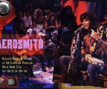 Aerosmith -Mtv Unpluggedsvcd