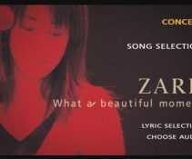 ZARD -What a beautiful momentװĻ[DVDRip]