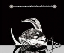 DIR EN GREY -A KNOT OF[DVDRip]