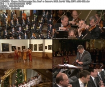 2012άҲֻ (720P)(Vienna Philharmonic New Years Concert 2012)