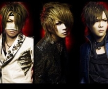 the GazettE -Tour 10 Nameless Liberty Six Bullets[TVRip]