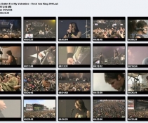 Bullet For My Valentine -Rock Am Ring 2006[DVDRip]