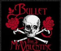 Bullet For My Valentine -Live Tokio 2006[DVDRip]