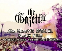 the GazettE -Gazerock Festival In Summer 08 BURST INTO A BLAZE[DVDRip]