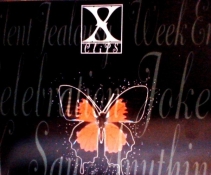 X JAPAN -X Clips1995DVD[DVDRip]