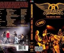 Aerosmith -Live You Gotta Move[DVDISO]